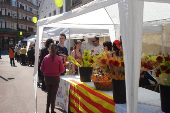 Sant Jordi 2009