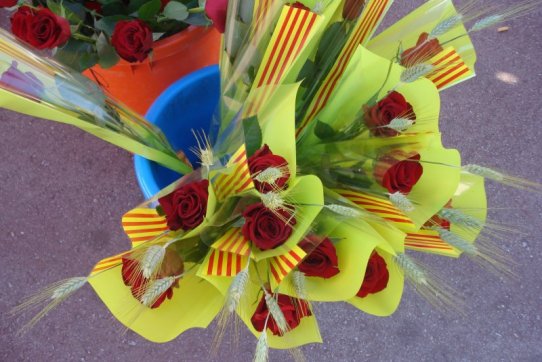 Sant Jordi 2009