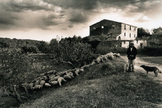 Premi a la millor fotografia de paisatge. Títol: El ramat - Autor: Nuria Roquet