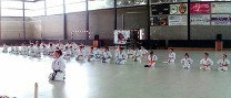 Exhibició de karate kyokushinkai