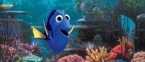 Cinema familiar: "Buscant la Dory"