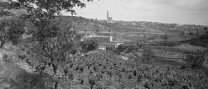 Sortida a peu. Barraques, vinyes, vi i esperits: el patrimoni vitivinícola de Castellar del Vallès