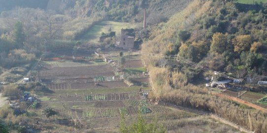 Imatge de l'horta del Boà, que fins ara no disposava de cap reglament.