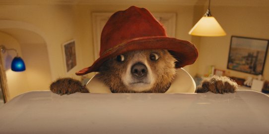 Paddington serà a l'Auditori diumenge 15 de febrer.