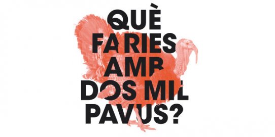 Imatge promocional de l'activitat "Què faries amb dos mil pavus?".