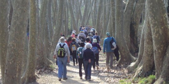 Imatge d'una de les excursions del cicle, concretament la realitzada el 12 de març a Gallecs