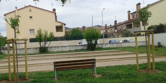 Plantació de moreres a la pl. Sant Joan de Can Carner