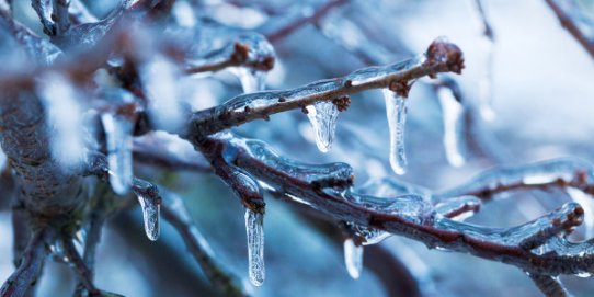 Es preveu un descens de les temperatures provocat per una onada de fred polar que derivarà en siberià a partir de la setmana que ve.