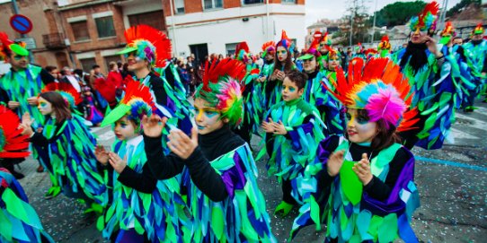 Imatge d'un moment de la Rua de Carnaval, l'any 2016.