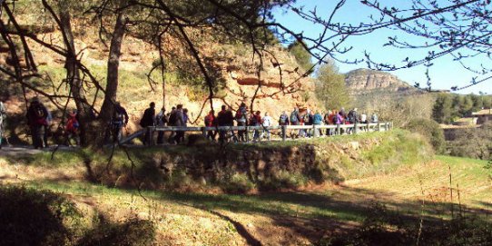 La proposta inclourà un recorregut pels voltants de les Arenes.