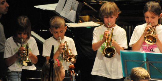 El concert s'ha programat a l'Auditori.