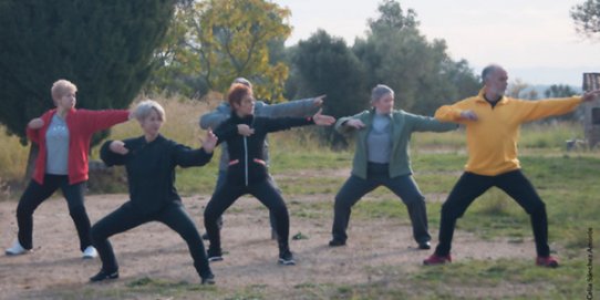 La proposta tindrà lloc al parc de Colobrers.