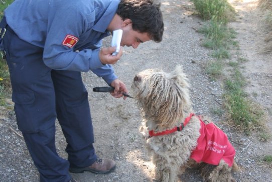 Unitat Canina de Recerca