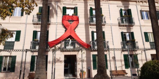 Llaç gegant penjat a la façana del Palau Tolrà.