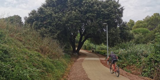 Entre les actuacions que s'han fet, destaca la millora de 600 metres de camins.