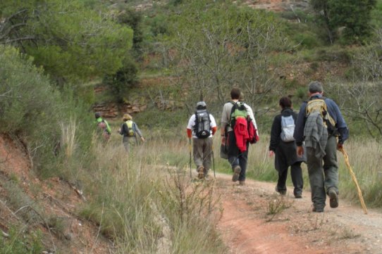 Imatge de la 1a etapa de la Ruta dels Castellars. Foto: Joan Vives