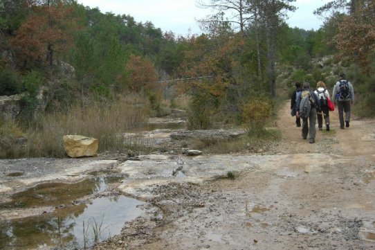 Imatge de la 1a etapa de la Ruta dels Castellars. Foto: Joan Vives