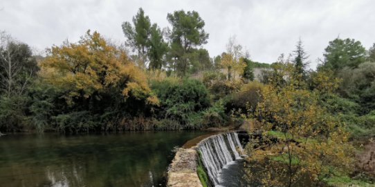 El camí del riu és un dels projectes que s'han inclòs al Banc de Bones Pràctiques dels governs locals.