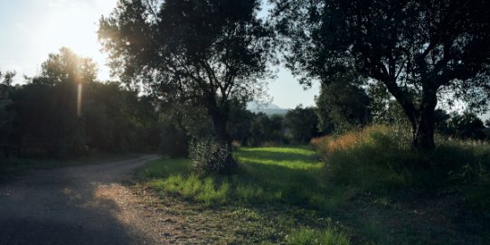 Fotografia d'un camí de Castellar del Vallès