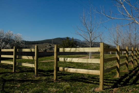 Àrea d'esbarjo per a gossos