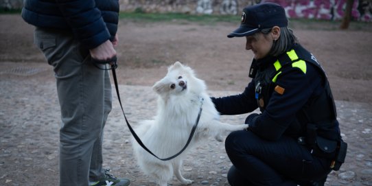 La campanya començarà l'11 de març.