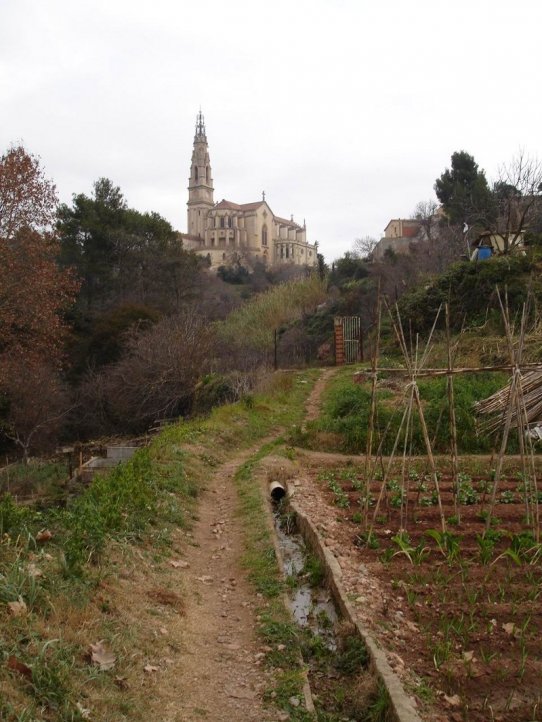 El camí entre els horts del Brunet i les Bassetes