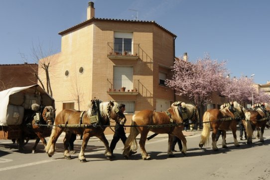 Festa de Sant Antoni Abat