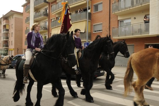 Sant Antoni Abat 2010