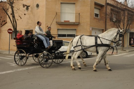 Sant Antoni Abat 2010