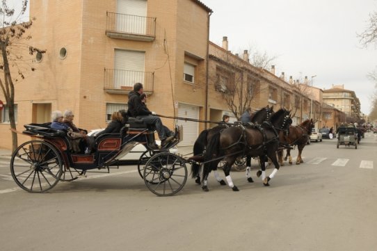 Sant Antoni Abat 2010