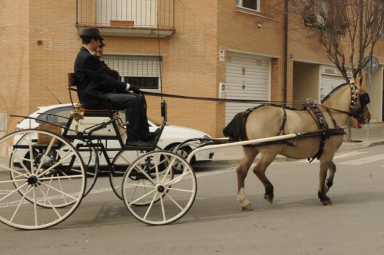 Sant Antoni Abat 2010