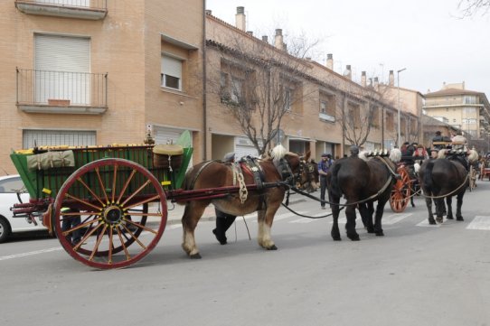 Sant Antoni Abat 2010