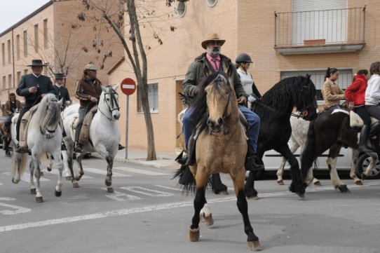 Sant Antoni Abat 2010