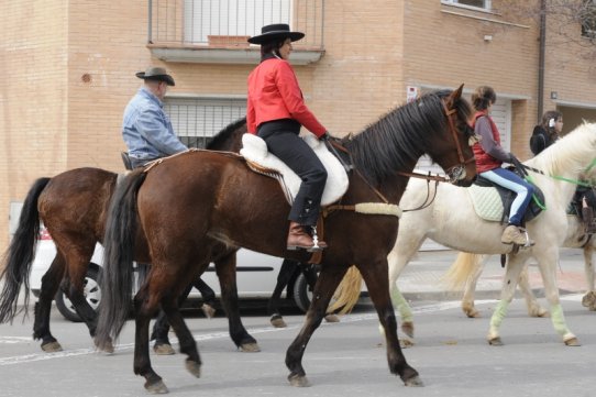 Sant Antoni Abat 2010