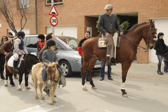 Sant Antoni Abat 2010