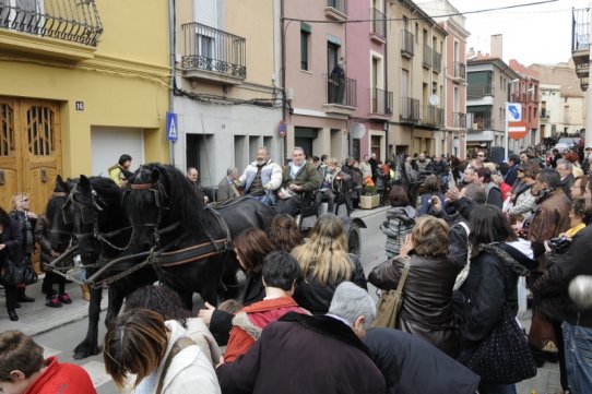 Sant Antoni Abat 2010