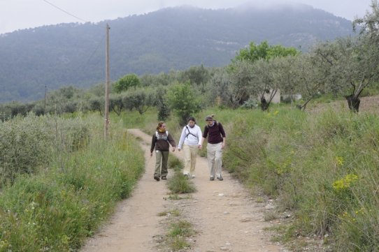 Els participants a la Caminada Popular d'enguany van recórrer 17,2 quilòmetres