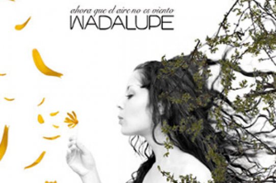 Portada del disc "Ahora que el aire no es viento", de Wadalupe