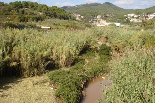 Àrea on s'està intervenint, aigües amunt del pont nou de la carretera de Terrassa