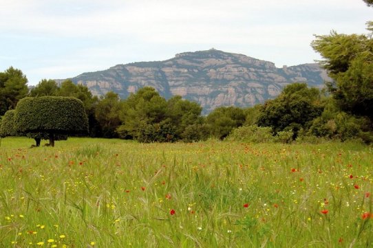 Vista des de Can Cadafalch