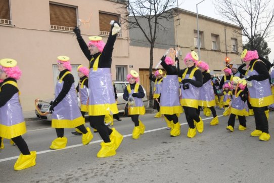 Imatge de la Rua de Carnaval 2010