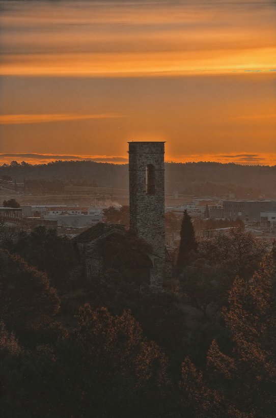 "Majestuós", de Jaume Calsina, 2n premi del concurs de fotografia de la 15a Setmana Verda