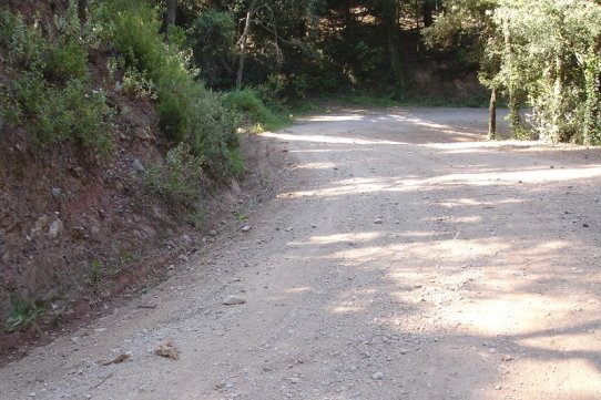 Imatge d'un dels camins que s'han arranjat