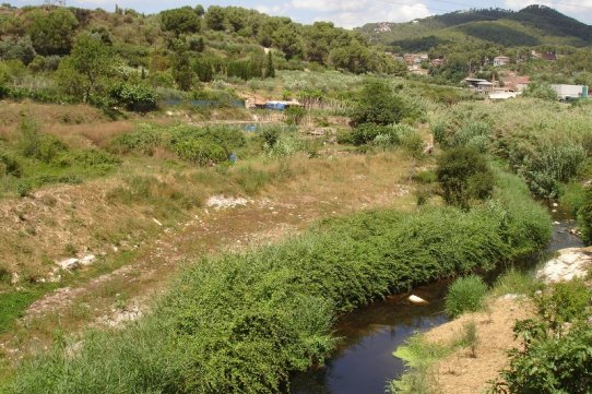 Els treballs s'han dut a terme a l'entorn del Pont Nou