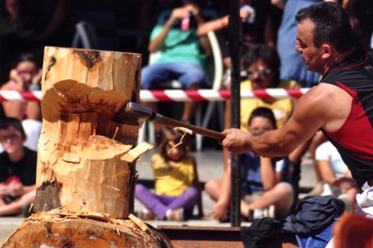 Una de les imatges guanyadores del Ral·li fotogràfic 2010, d'Emili Miralpeix