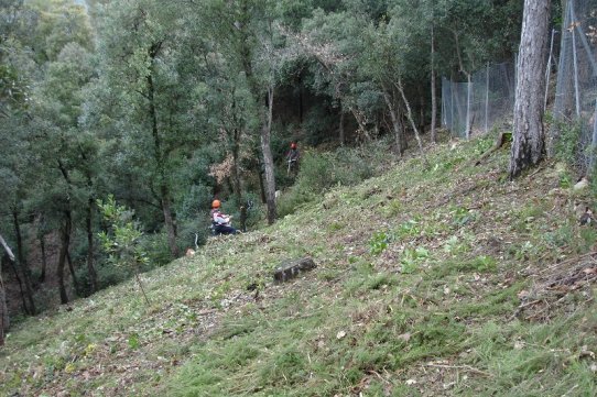 Franja de protecció al c. Font de la Soleia