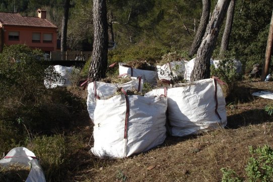 Imatge d'algunes de les "big bags" on es van retirar els cactus de Texas