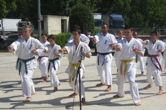 L'exhibició anirà a càrrec del campió Lorenzo Jiménez i alumnes de l'escola Linces Kenpo Karate