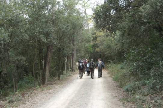 Imatge de la 1a etapa de la Ruta dels Castellars. Foto: Joan Vives