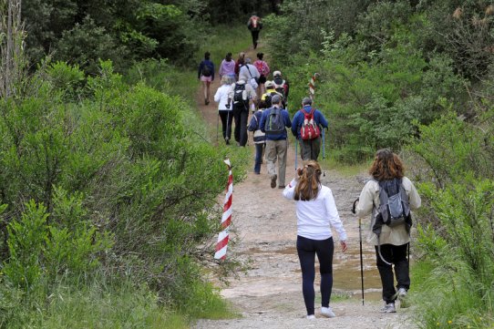 Imatge de la 26a edició de la Caminada Popular, l'any 2013